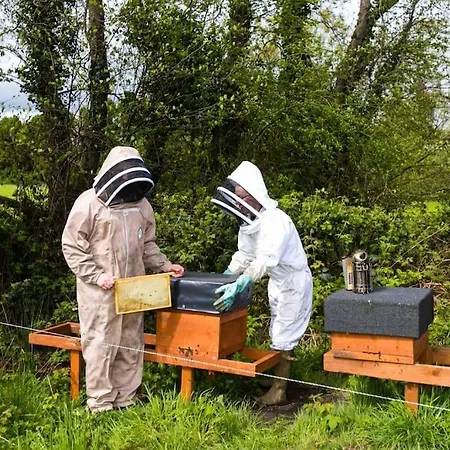 The Apiary *